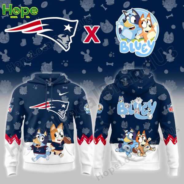 Bluey and Bingo New England Patriots hoodie from the front and back!